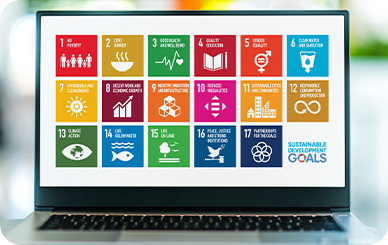 Integrating the SDGs