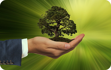 Integrating Sustainability