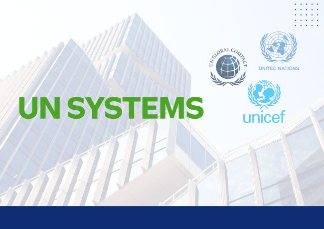 UN Systems