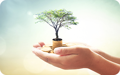 Integrating Sustainability